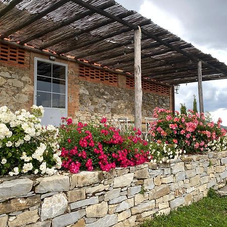 Tregole Apartman Castellina in Chianti Kültér fotó