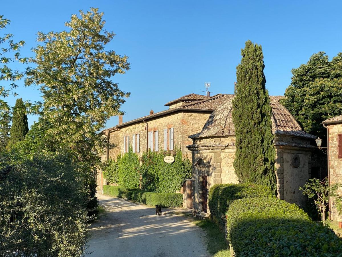 Tregole Apartman Castellina in Chianti Kültér fotó