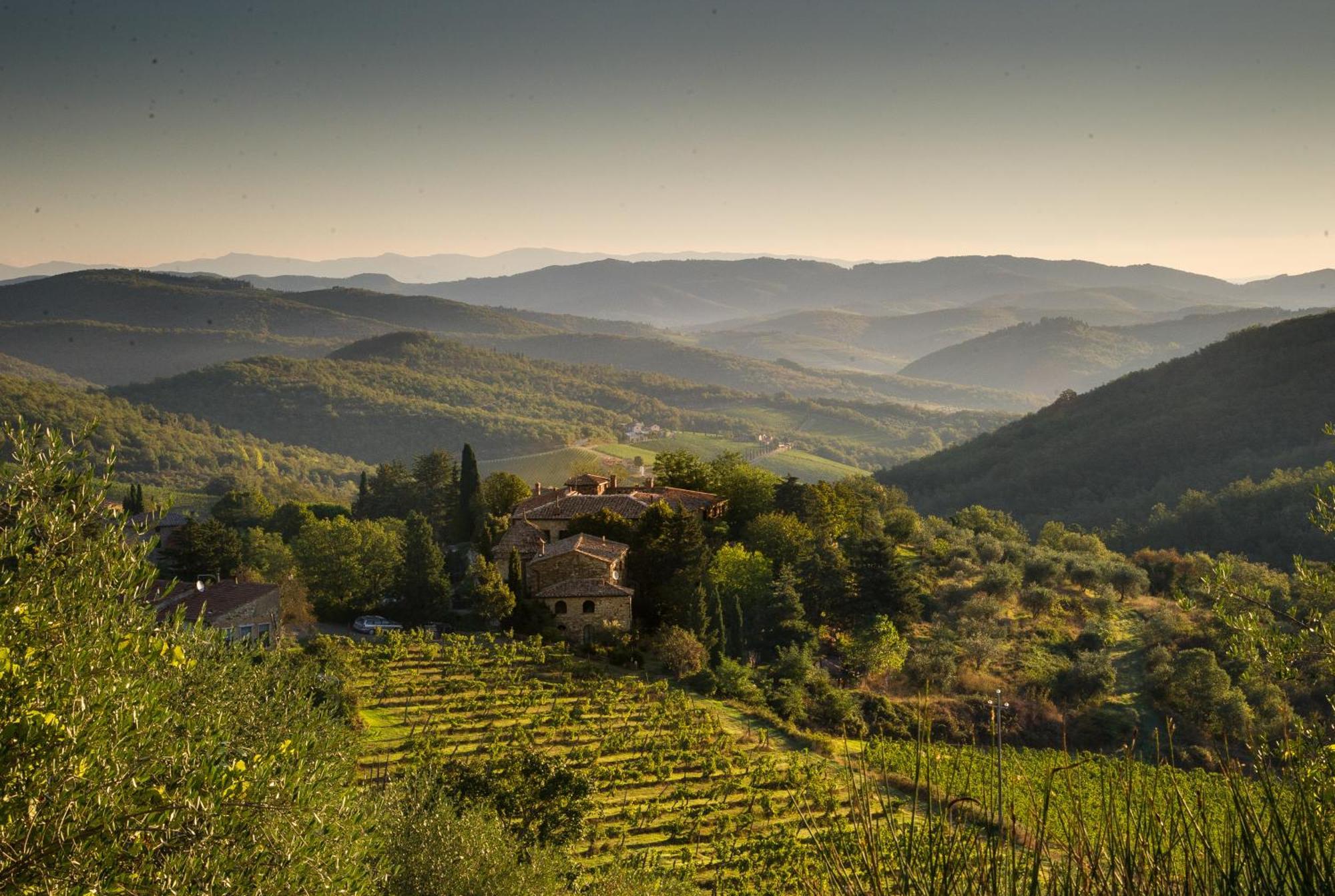Tregole Apartman Castellina in Chianti Kültér fotó